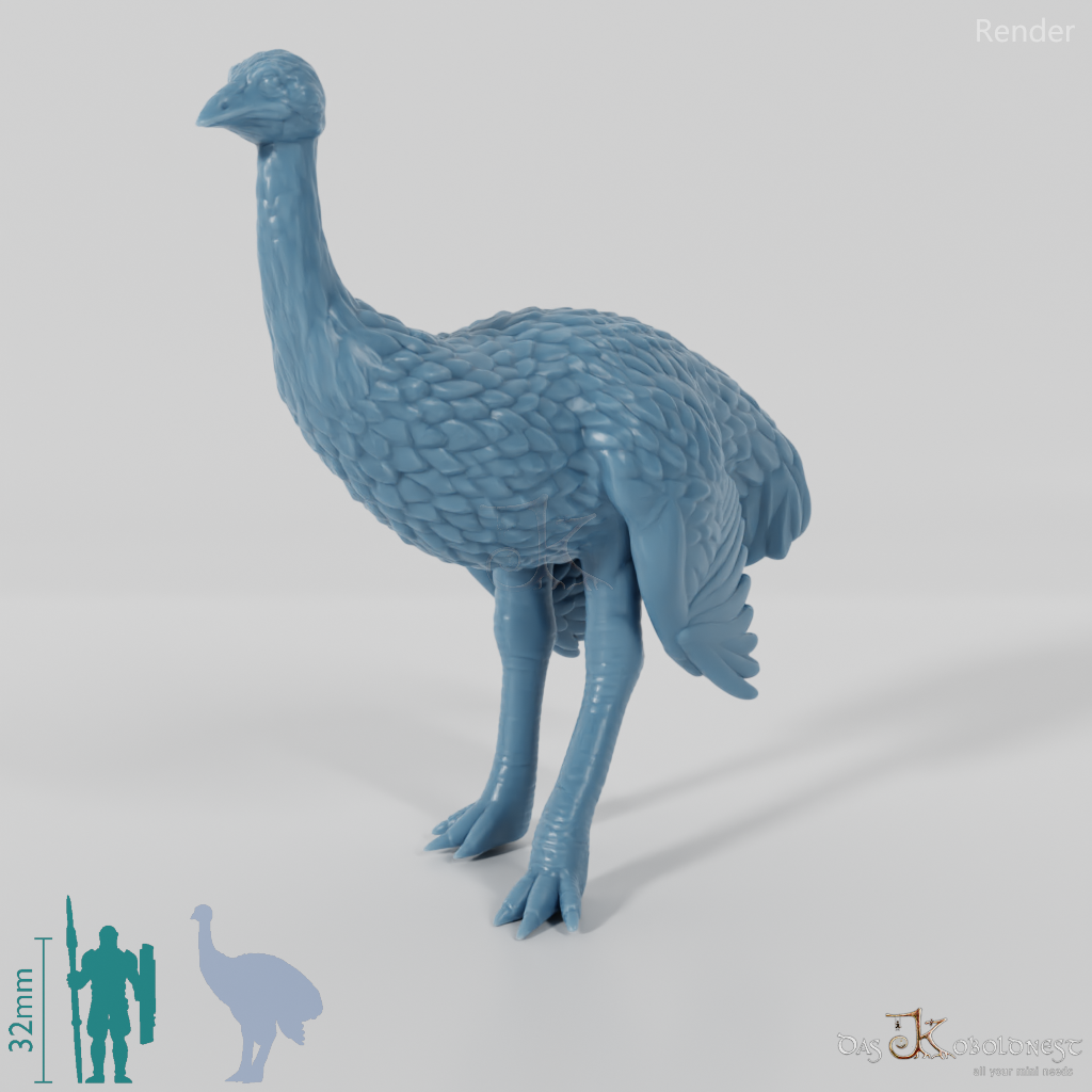 Ratite - Ostrich 02