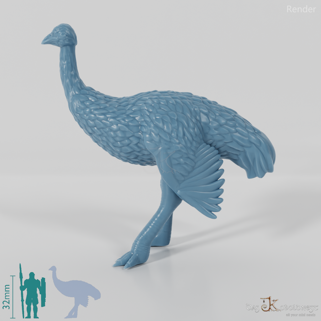 Ratite - Ostrich 02