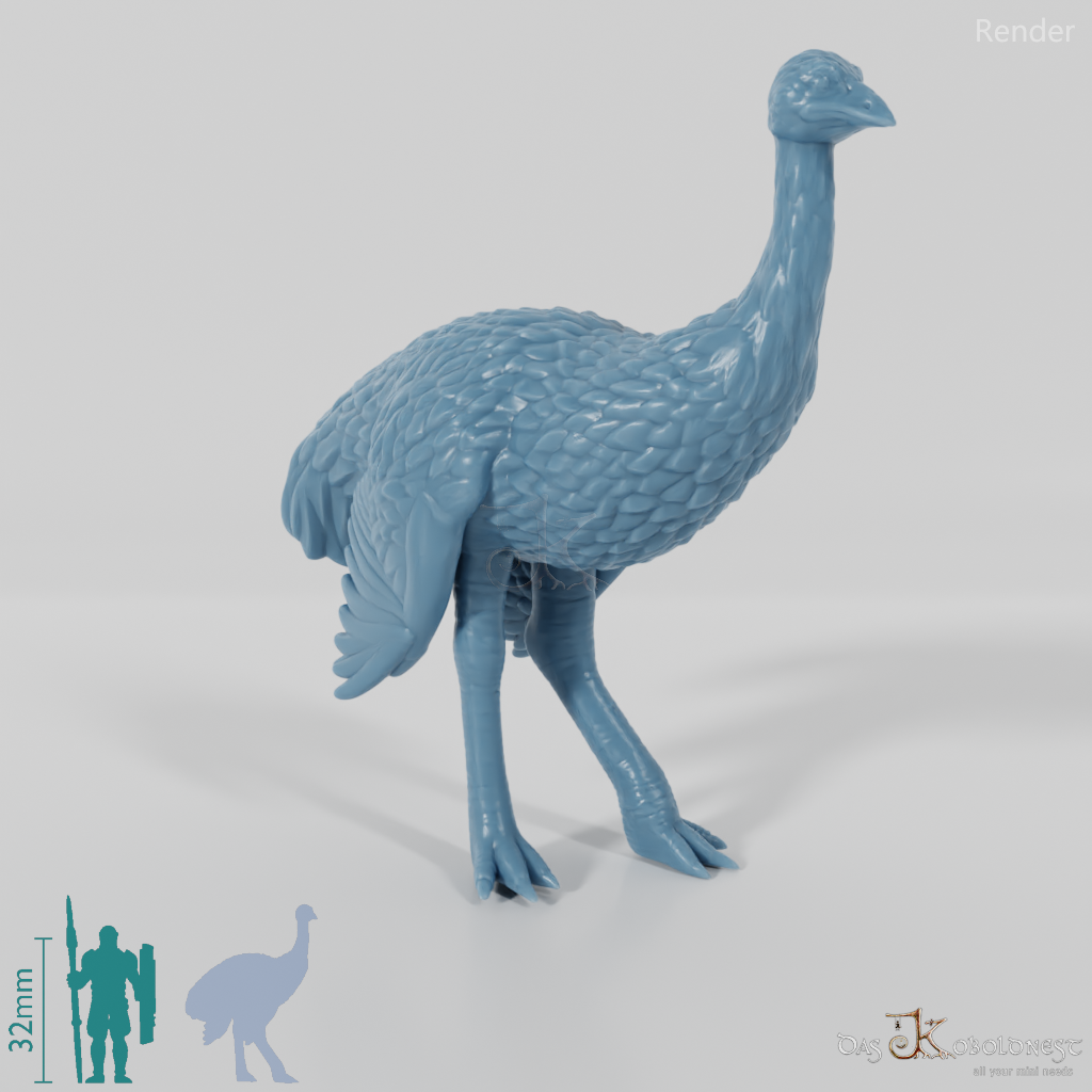 Ratite - Ostrich 02