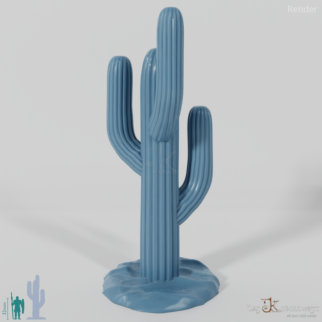 Saguaro cactus