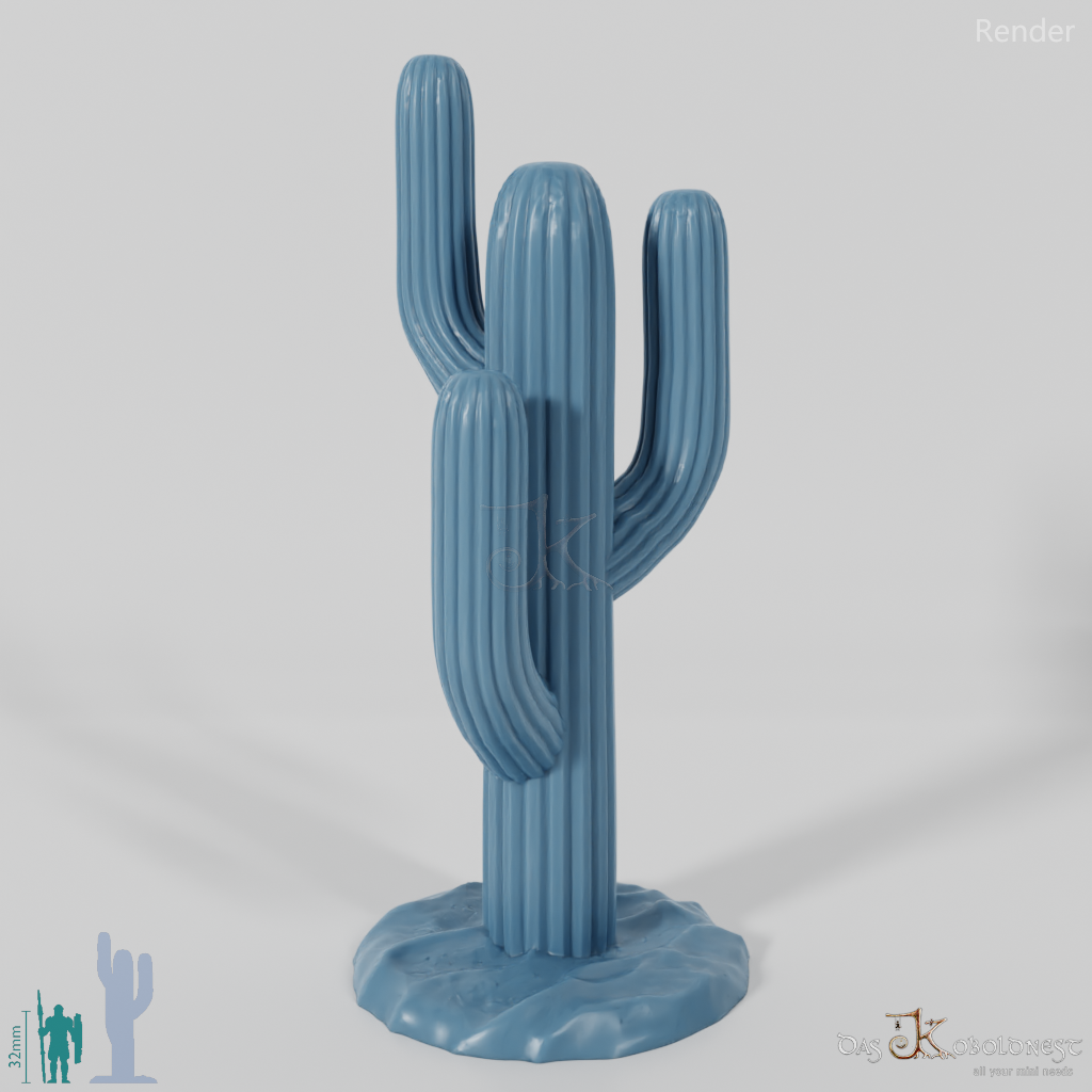 Saguaro cactus