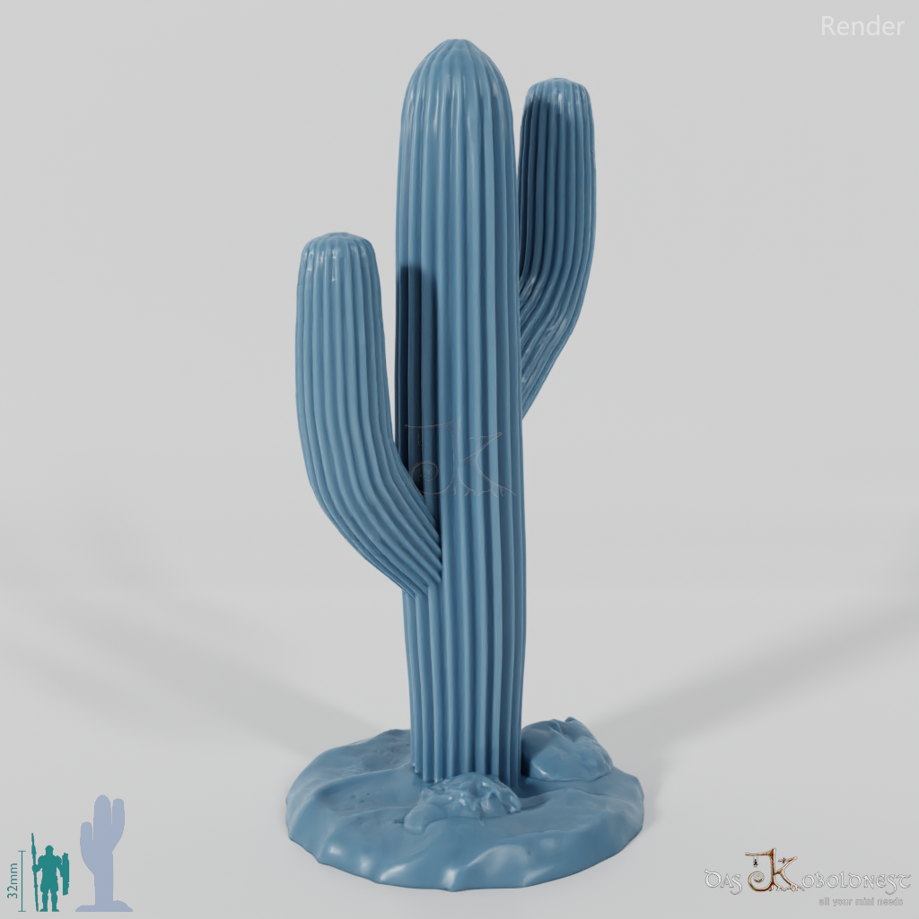 Saguaro cactus