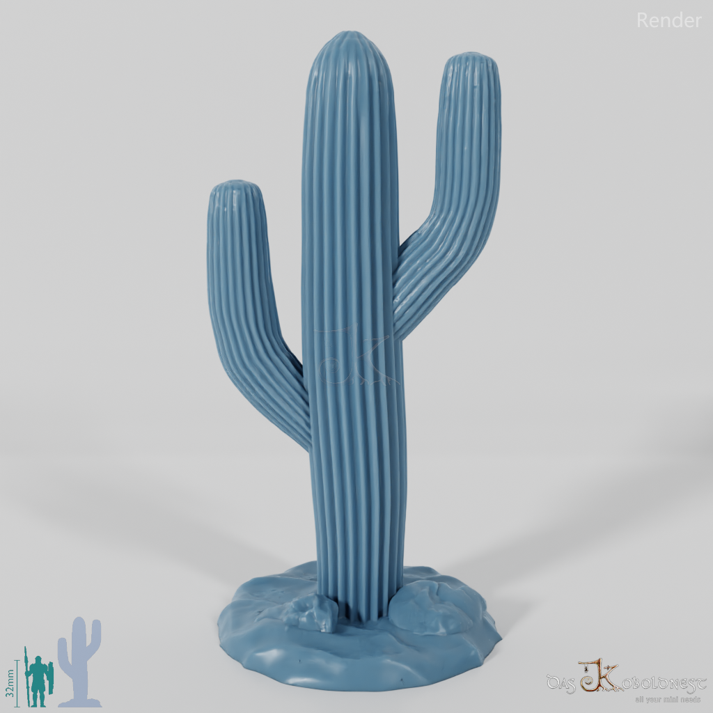 Saguaro cactus