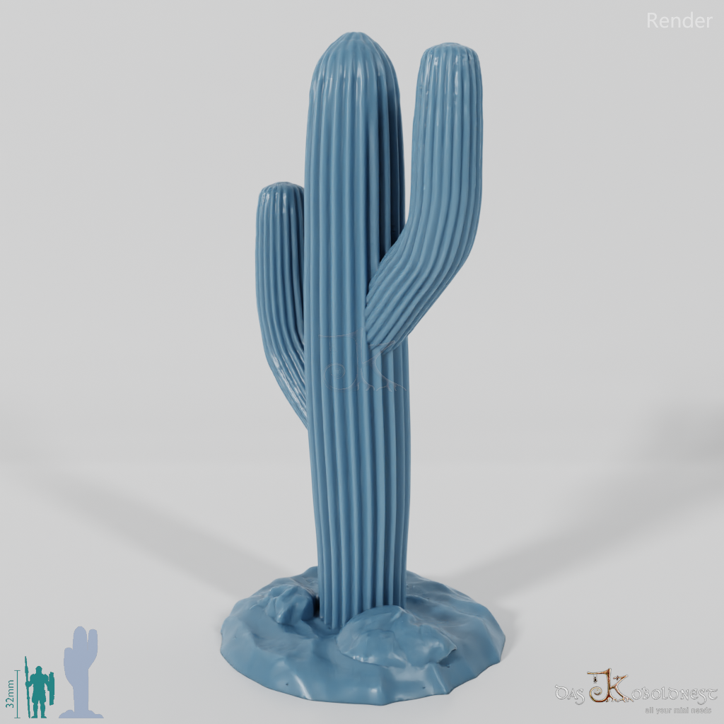 Saguaro cactus