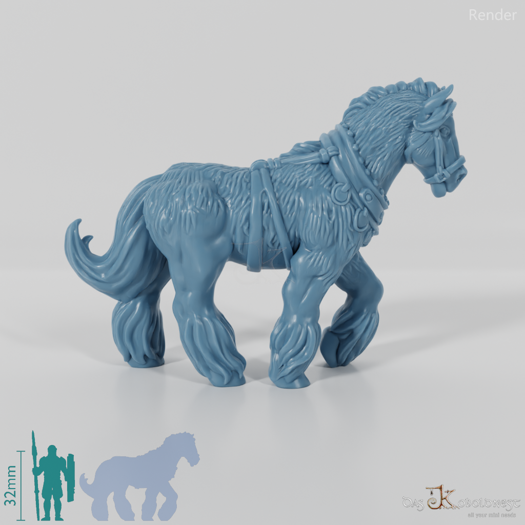 Horse - draft horse