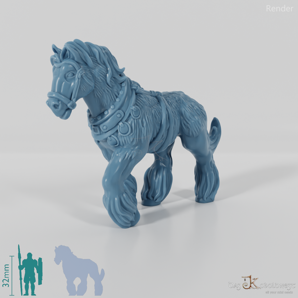 Horse - draft horse