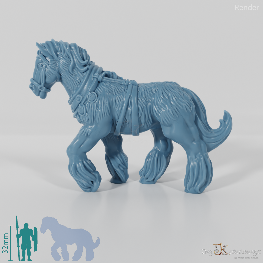 Horse - draft horse