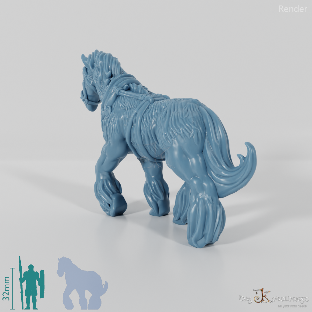 Horse - draft horse