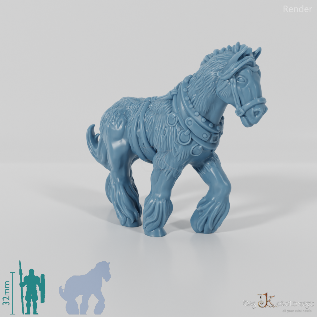 Horse - draft horse