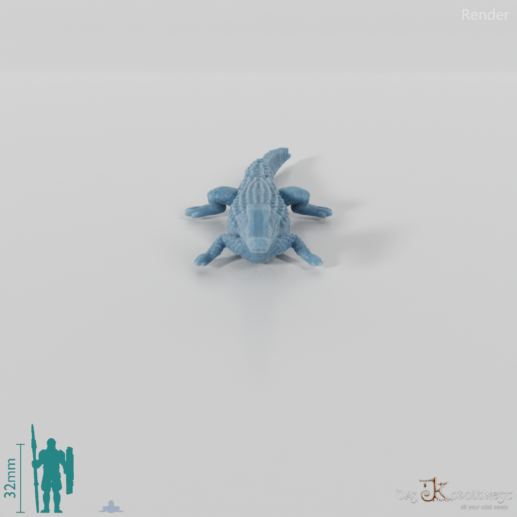 Krokodil - Glattstirnkaiman 01