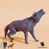 Aenocyon dirus 03 - JJP