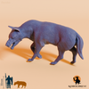 Aenocyon dirus 06 - JJP