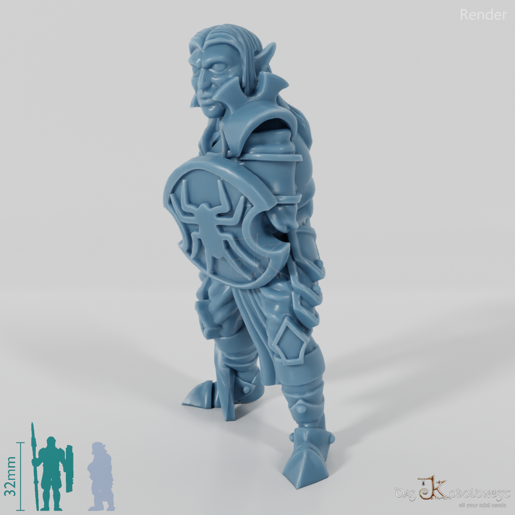 Dark elf warrior