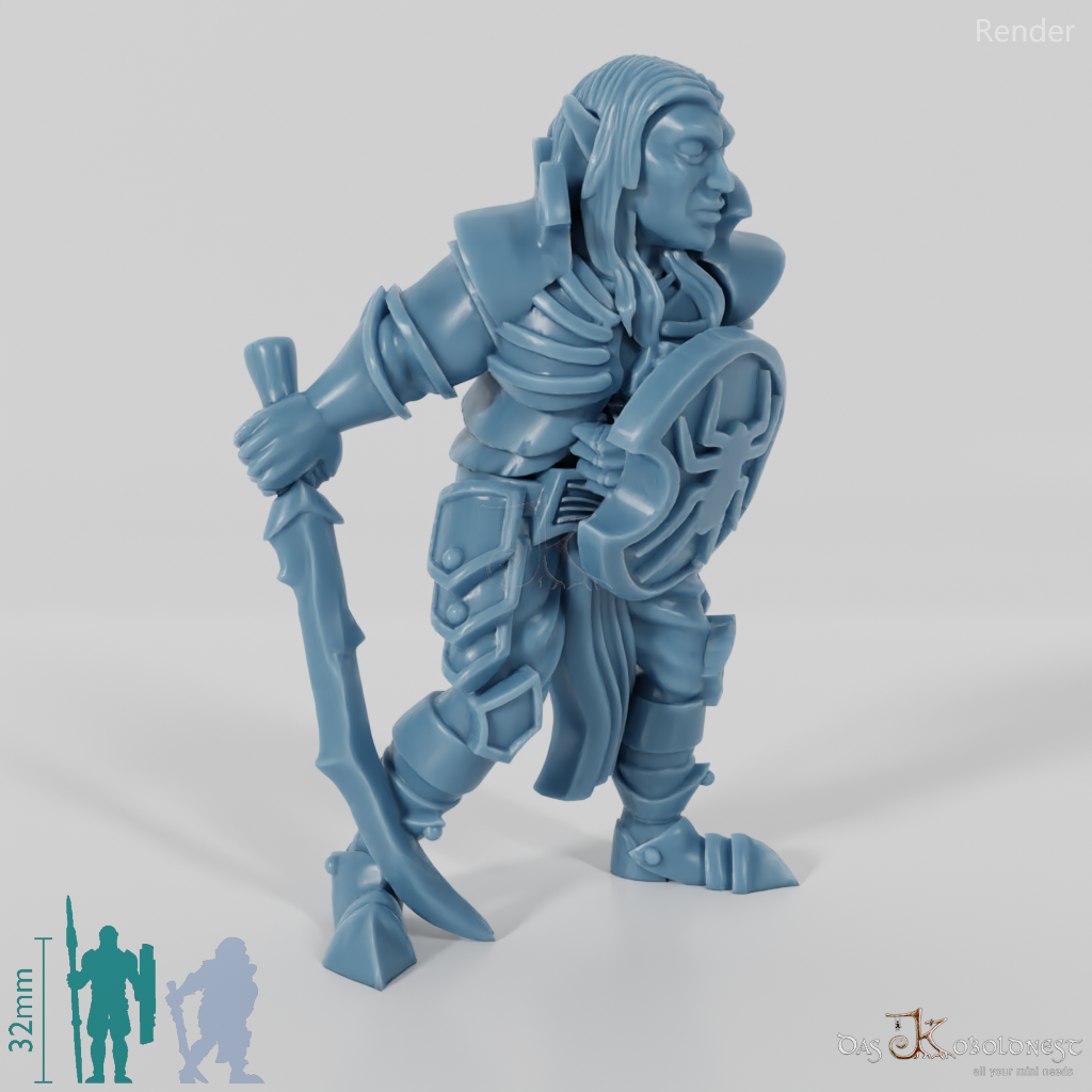 Dark elf warrior