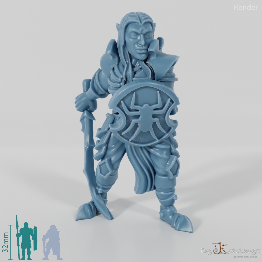 Dark elf warrior