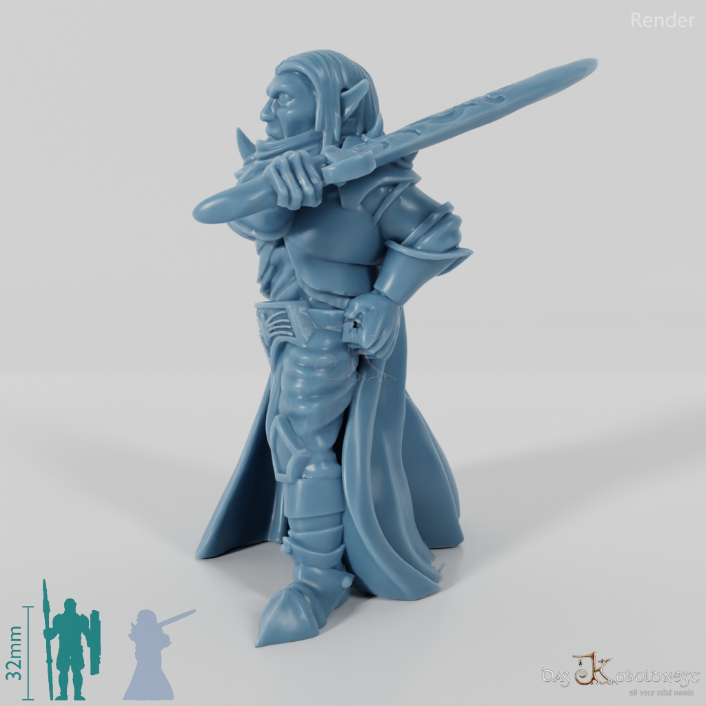 Dark Elf Paladin