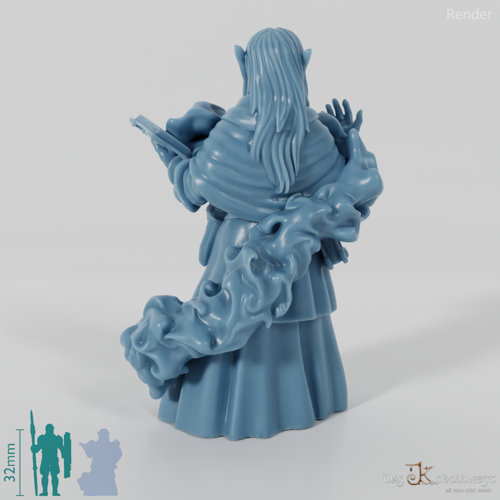 Dark elf wizard