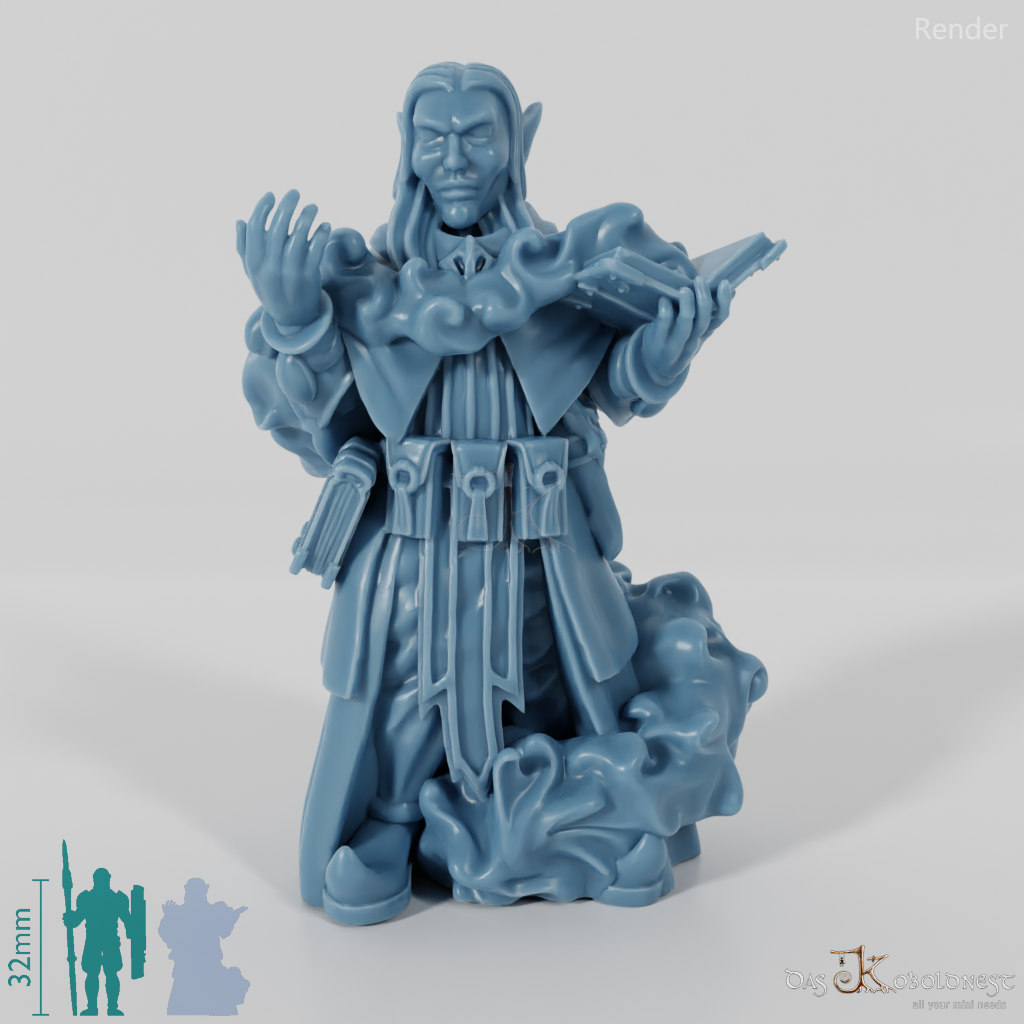Dark elf wizard