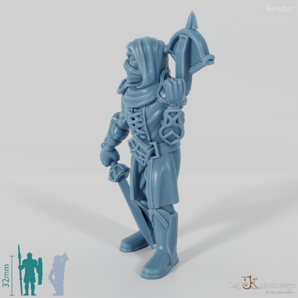 Dark Elf Assassin