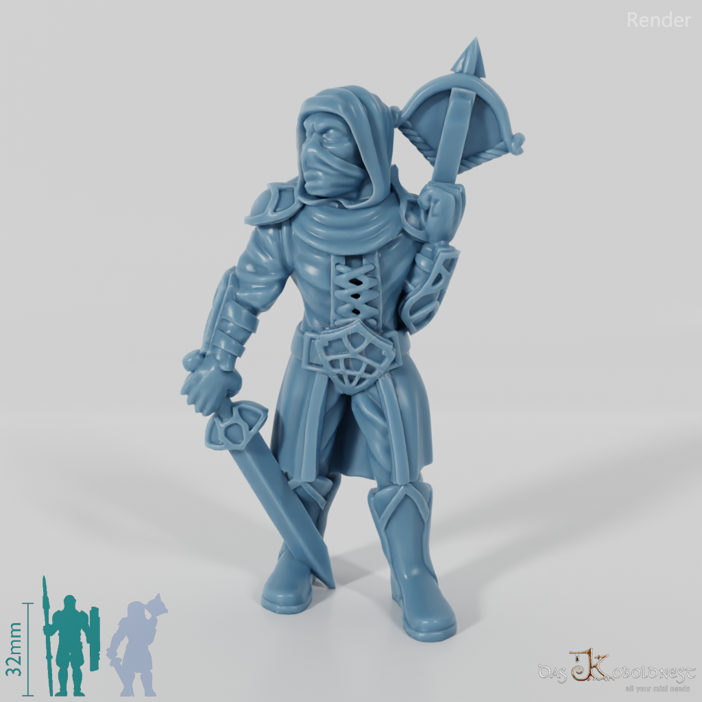 Dark Elf Assassin