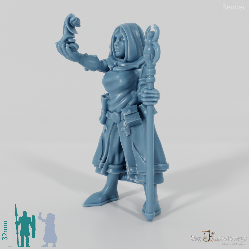 Dark elf sorcerer