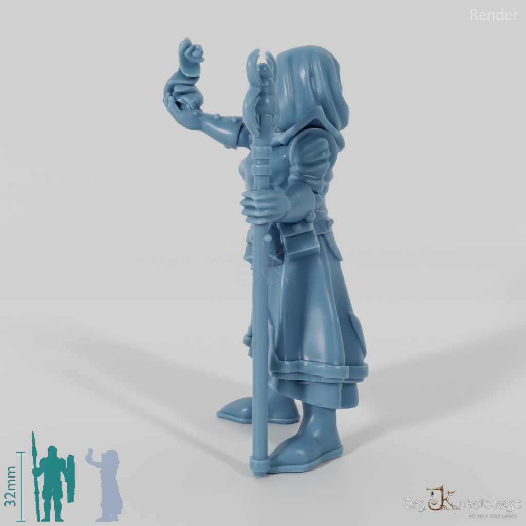 Dark elf sorcerer