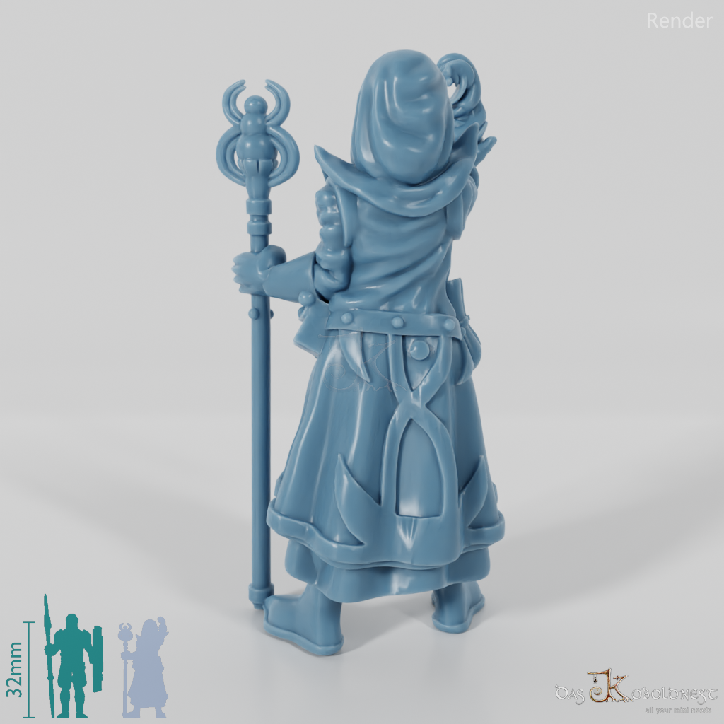Dark elf sorcerer