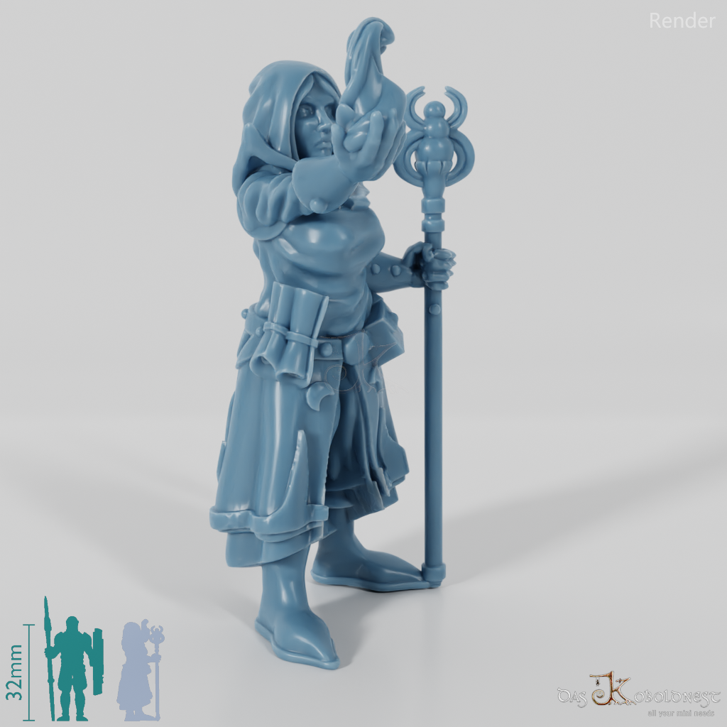 Dark elf sorcerer