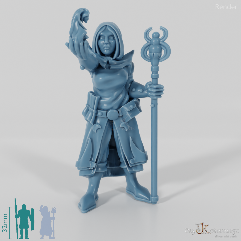 Dark elf sorcerer