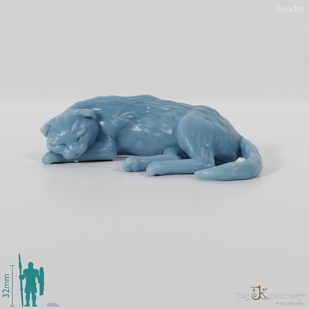 Cat - Deimos, sleeping cat