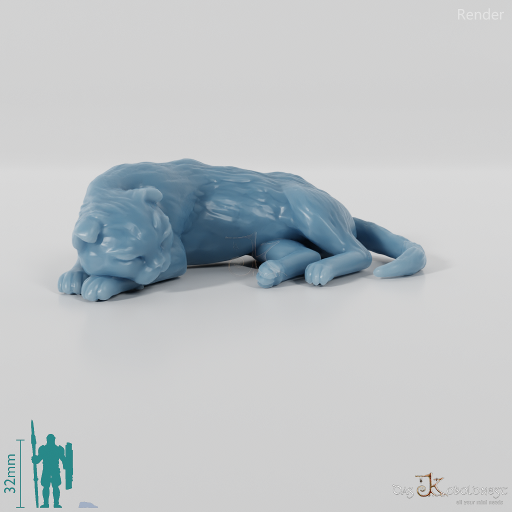 Cat - Deimos, sleeping cat