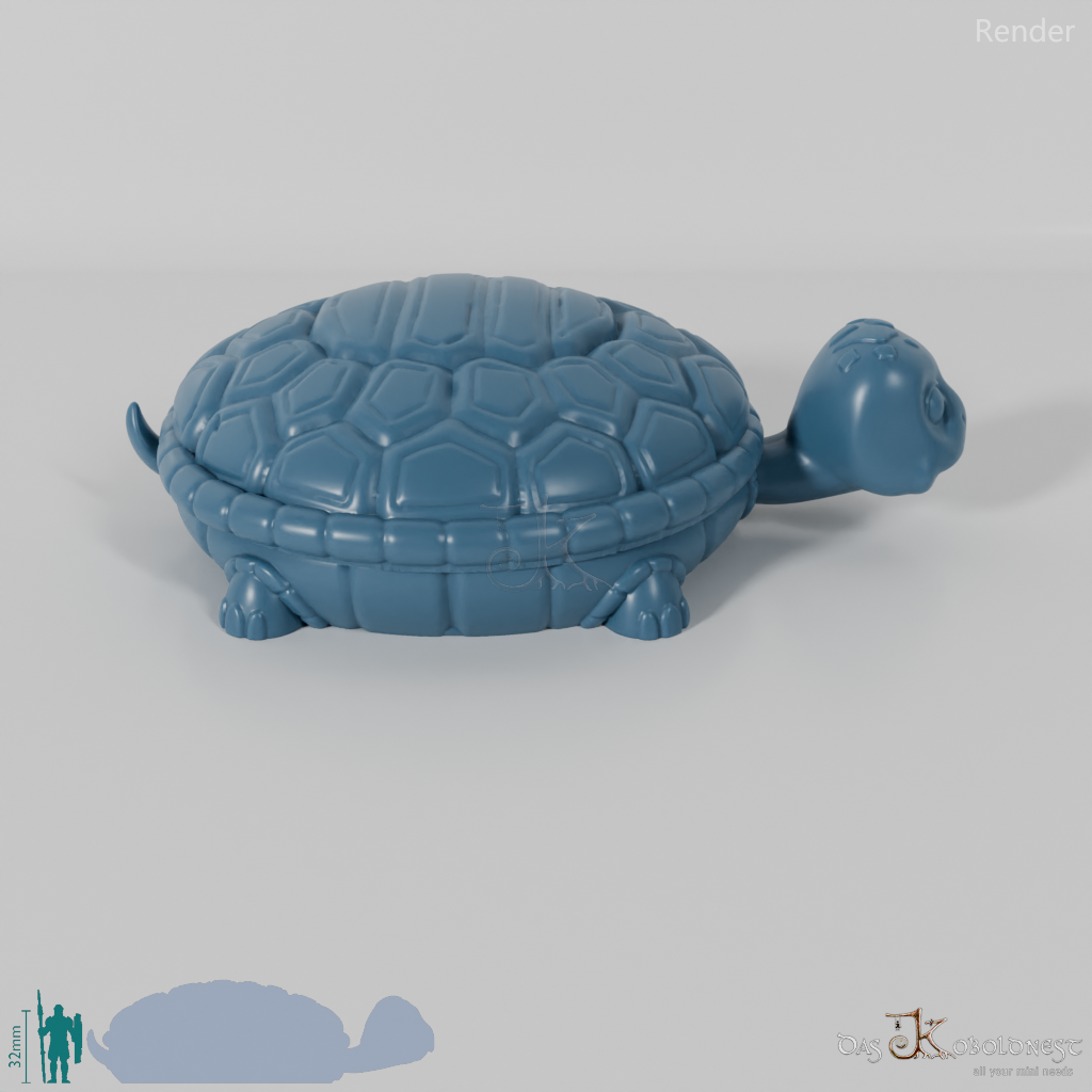 Würfelbox - Schildkröte