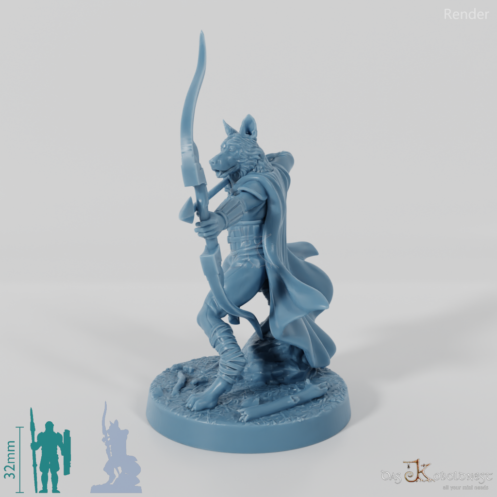 Dogfolk Ranger - Border Collie