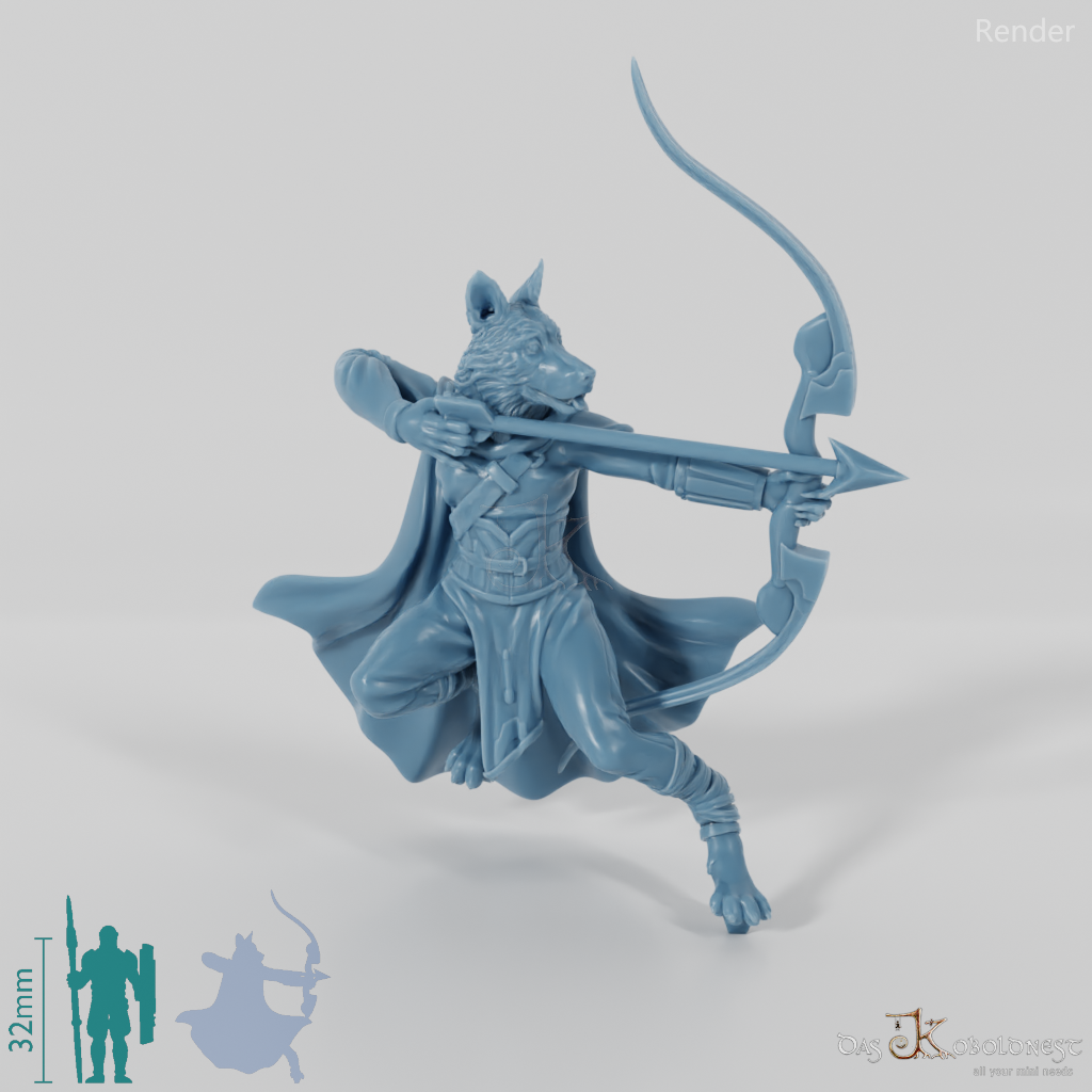 Dogfolk Ranger - Border Collie