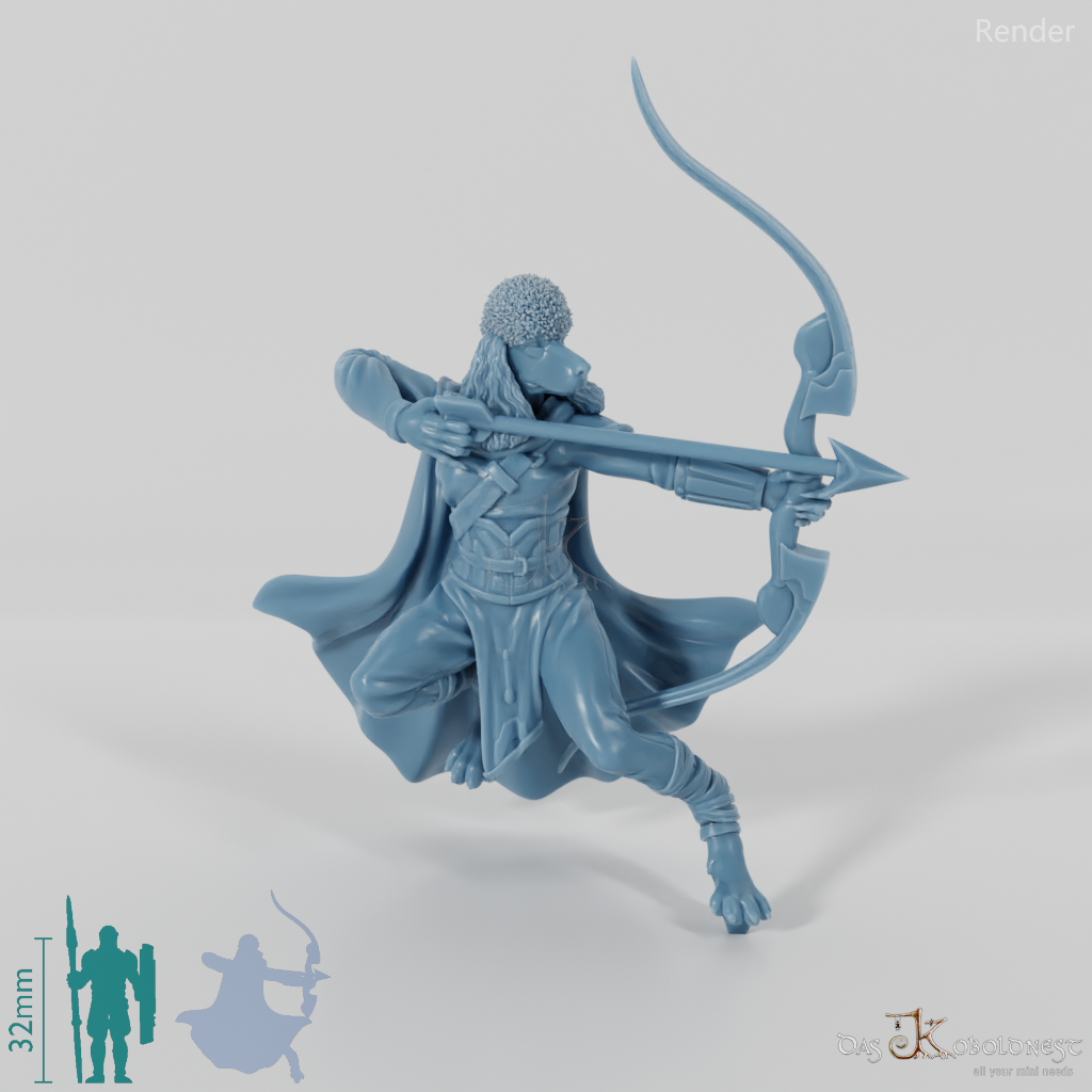 Dogfolk Ranger - Poodle