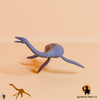 Elasmosaurus platyurus 01 - JJP