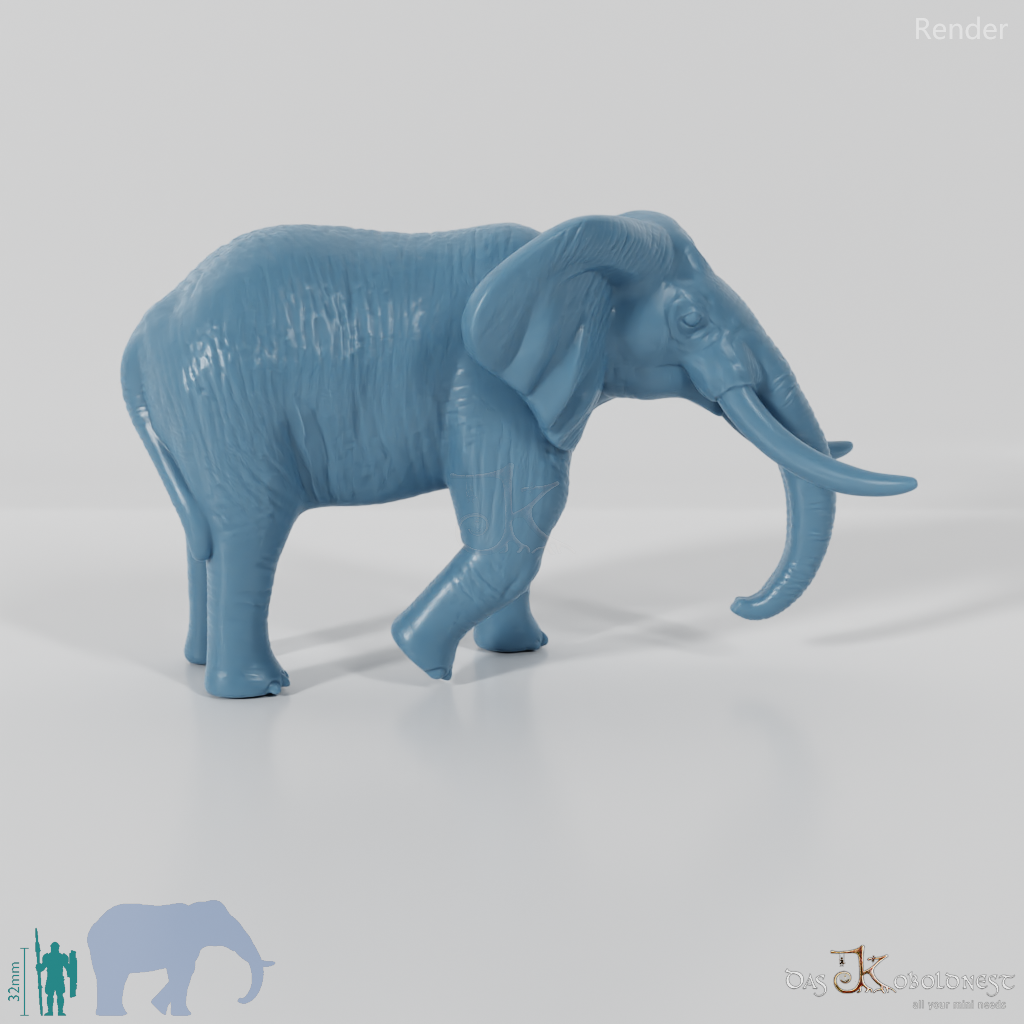 Elefant - Afrikanischer Elefant 02