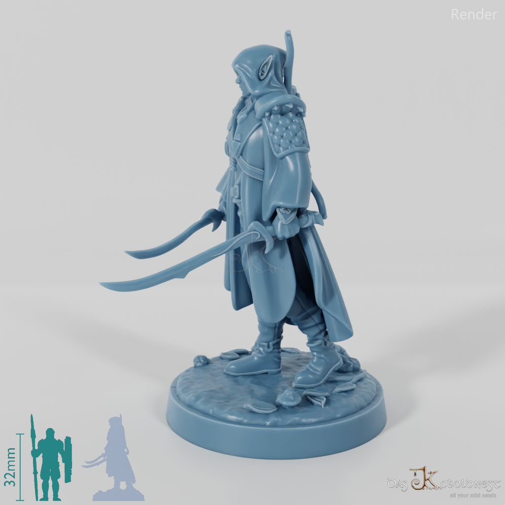 Aeleth, elf rogue