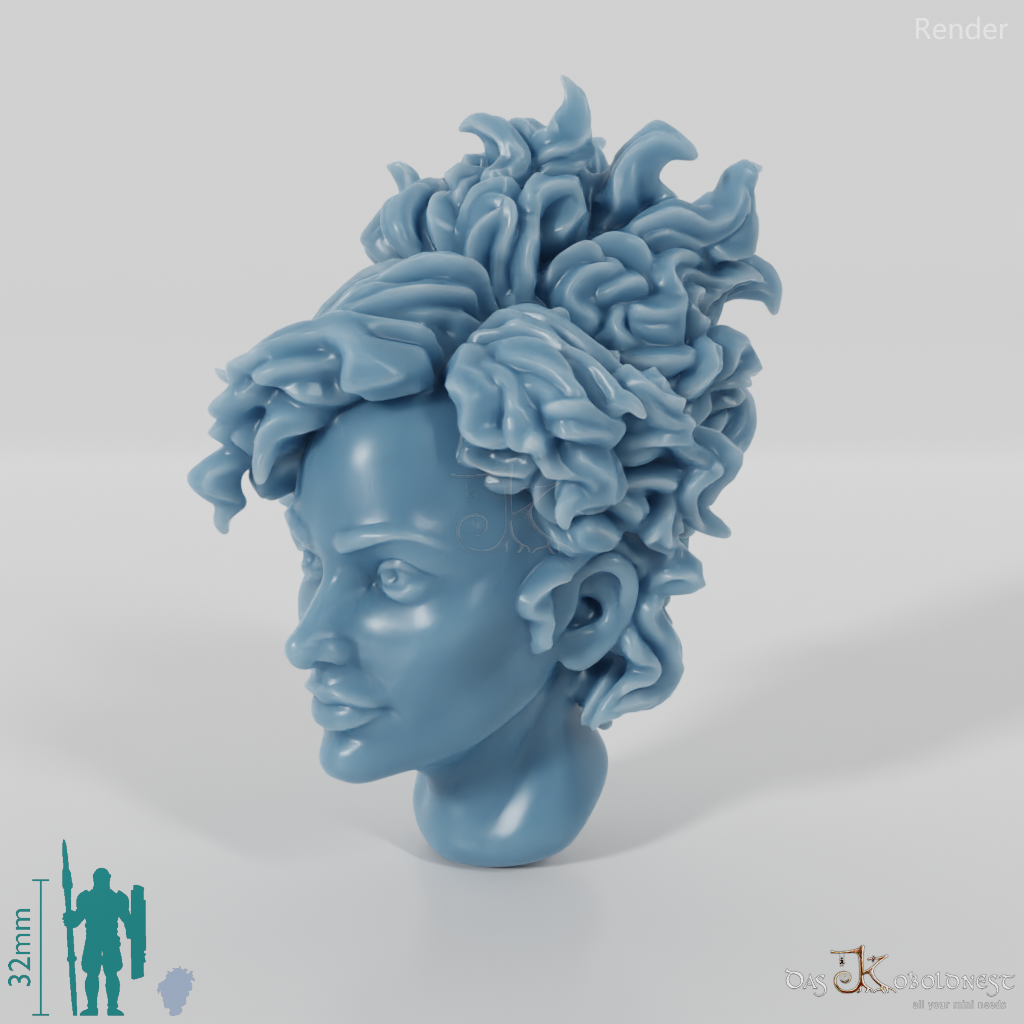 Woman's head - shaggy hair