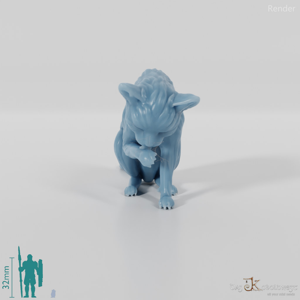 Cat - Lilith, preening cat