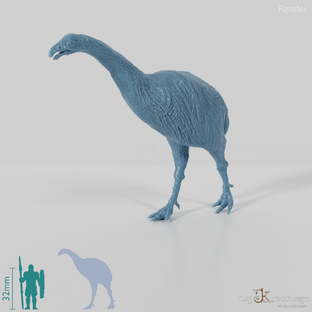 Dinornis novazaelandiae 01 (Weibchen) - JJP