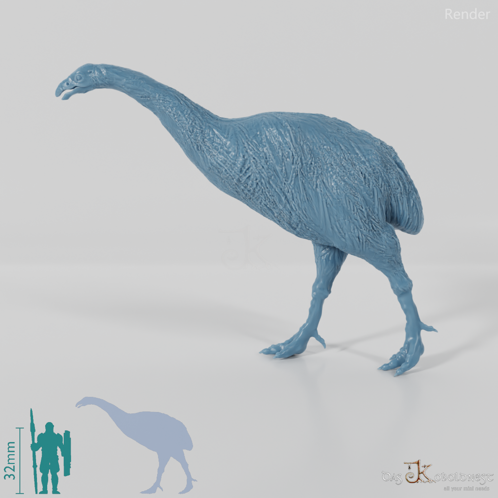 Dinornis novazaelandiae 01 (Weibchen) - JJP