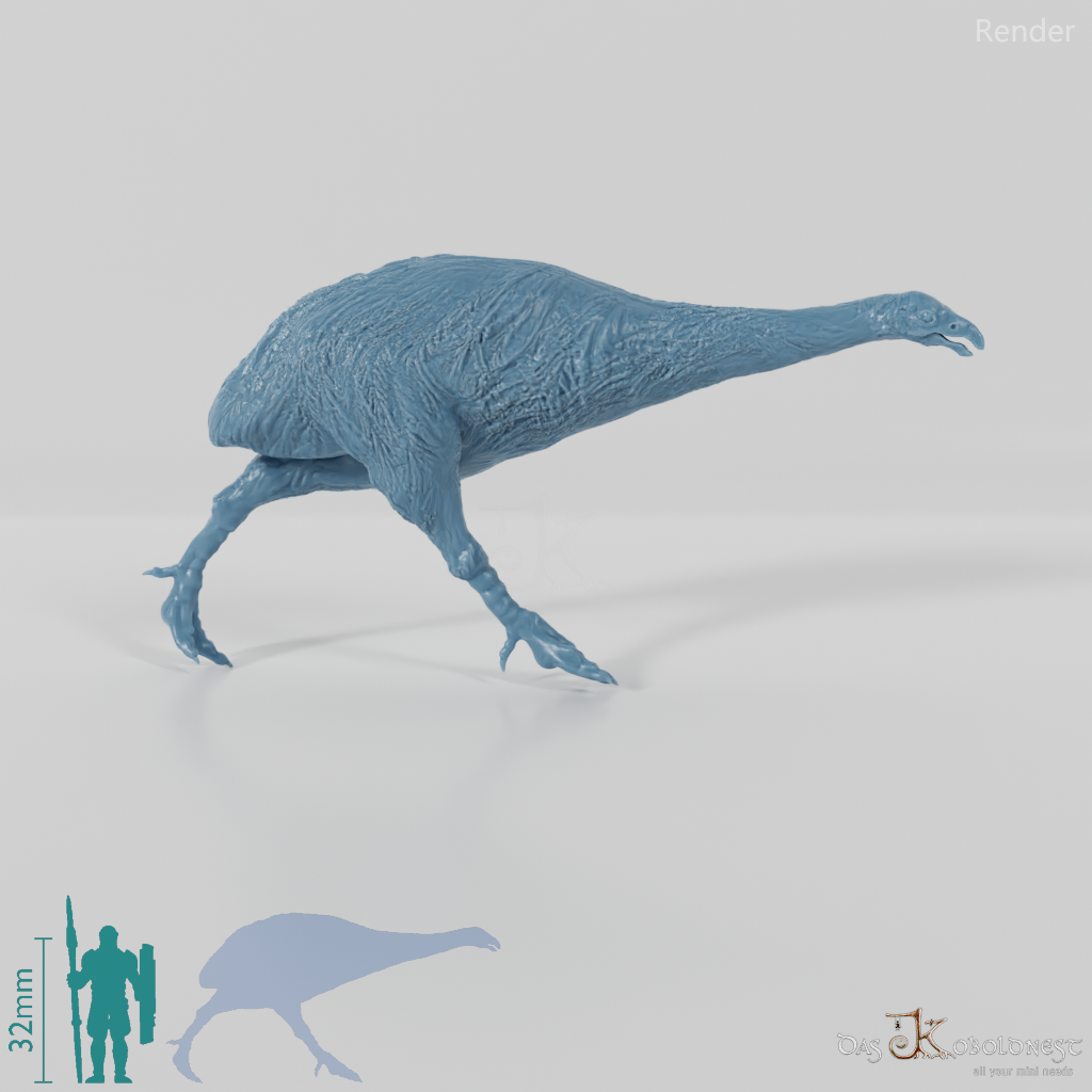 Dinornis novazaelandiae 02 (Weibchen) - JJP