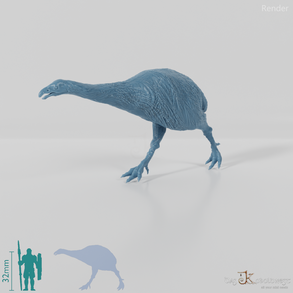 Dinornis novazaelandiae 02 (Weibchen) - JJP