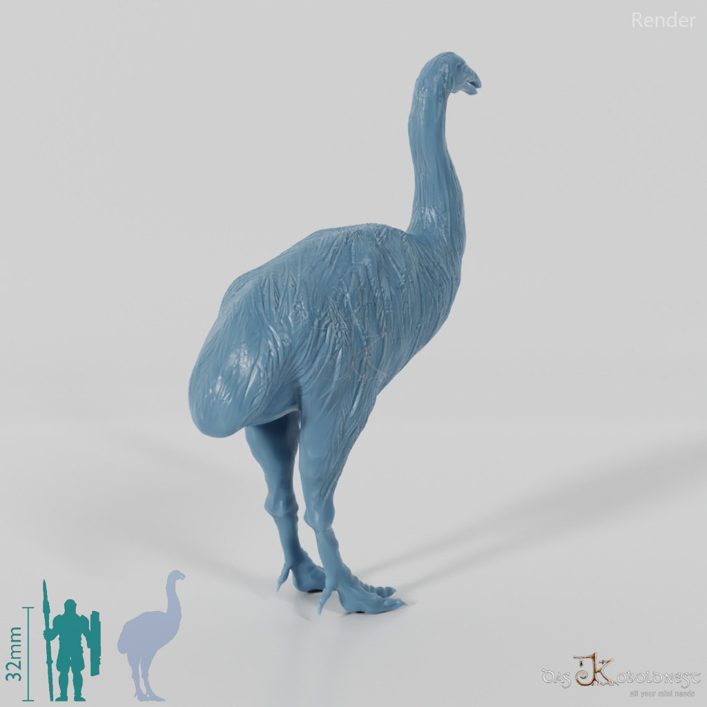 Dinornis novazaelandiae 03 (Männchen) - JJP