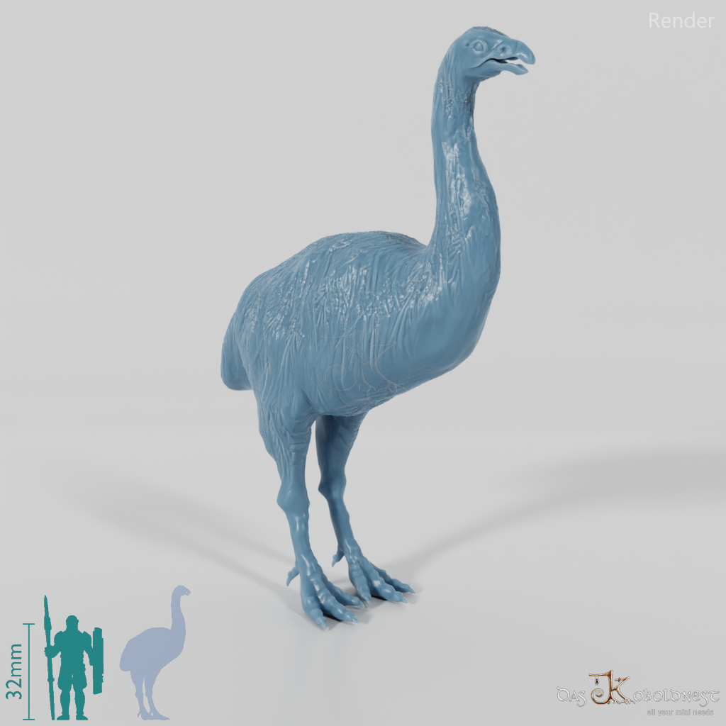 Dinornis novazaelandiae 03 (Männchen) - JJP