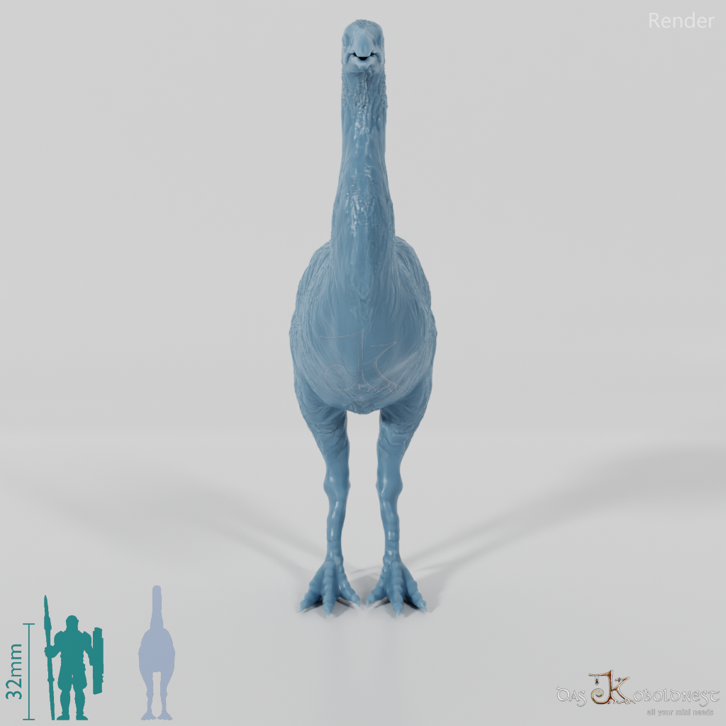 Dinornis novazaelandiae 03 (Männchen) - JJP