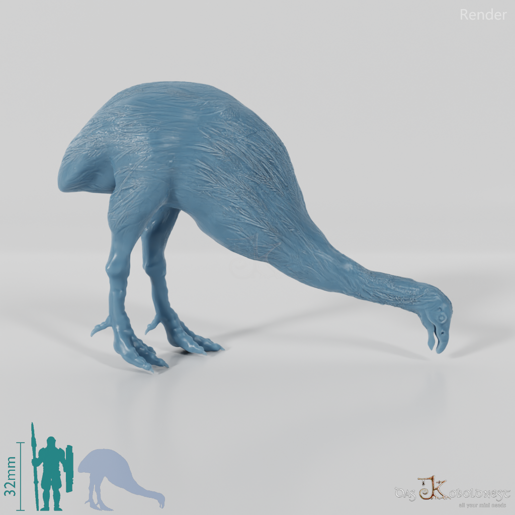 Dinornis novazaelandiae 04 (Männchen) - JJP