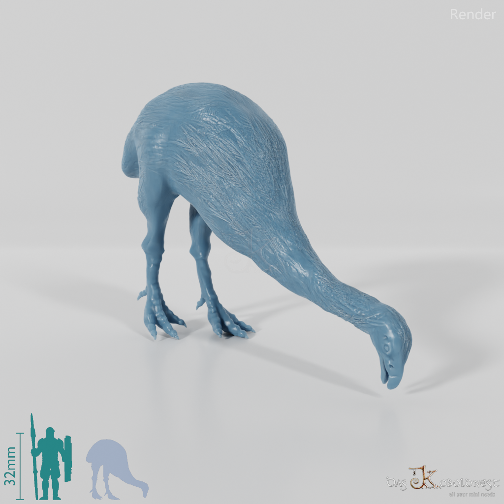 Dinornis novazaelandiae 04 (Männchen) - JJP
