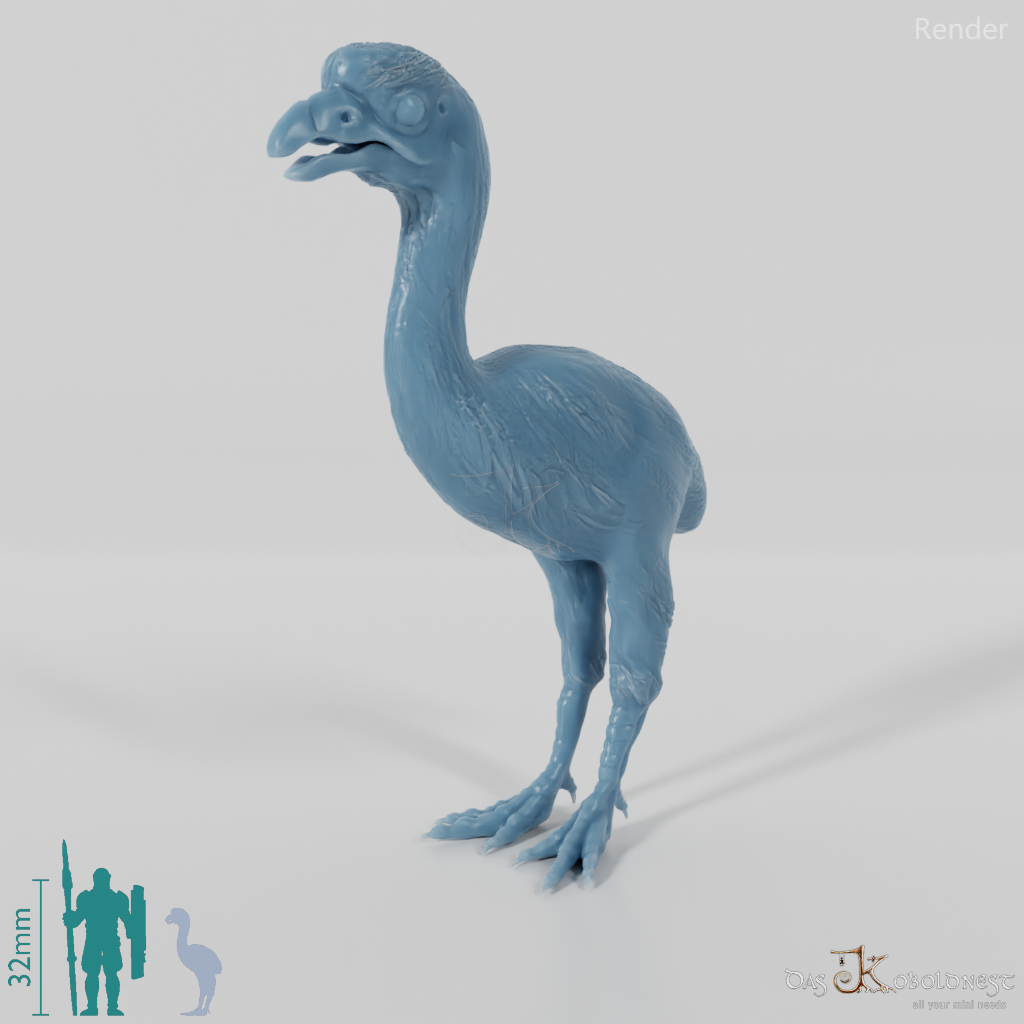 Dinornis novazaelandiae 06 (Jungtier) - JJP